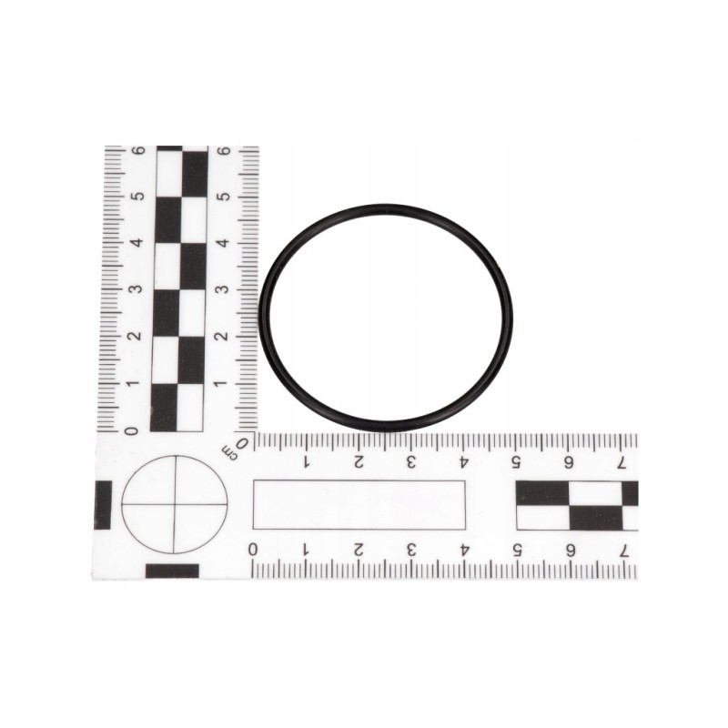 Original o ring manitou 602775