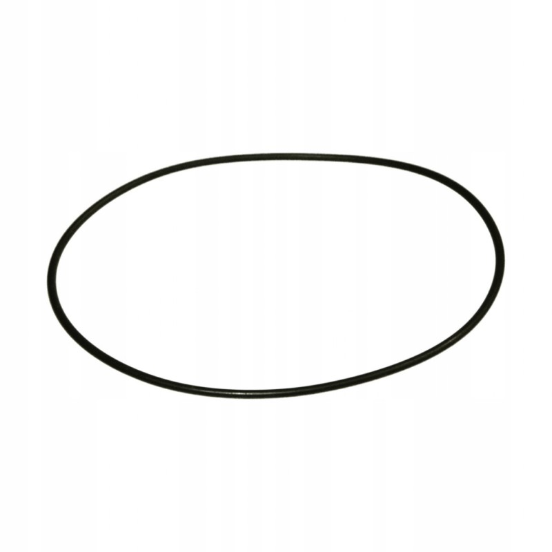 Original o ring manitou 487379