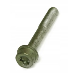 Original Manitou screw 740899