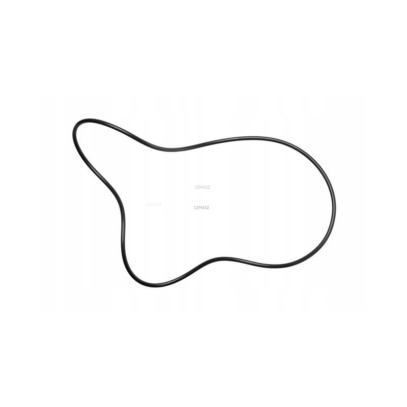 Large o-ring seal for brake piston cat