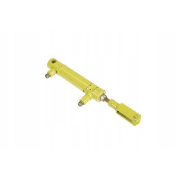 816946 0 hydraulic cylinder 32 x 20 x 65