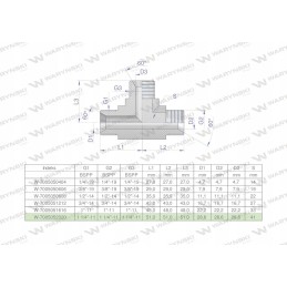 Hydraulic tee inch BBB 1 1 4 BSP Warynski