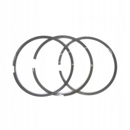 Set of engine rings fi 110 deutz
