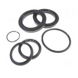 Old type actuator seal set