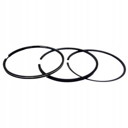 Set of engine rings fi 107 211 6 ct107 4 ct tur