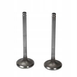 Intake valve daewoo doosan 65 04101 0043