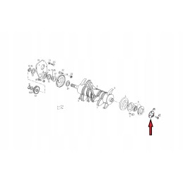 Disc with driver 5595 127 00 210 Unia Famarol