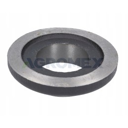 Warynski disk bearing sleeve cap