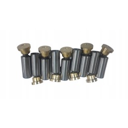 Complete set of pistons for the Daewoo Doosan Solar 500 swing motor