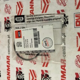 Hatz 1d41 1d42 bushing protection 50458000