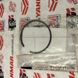 Hatz 1d41 1d42 bushing protection 50458000