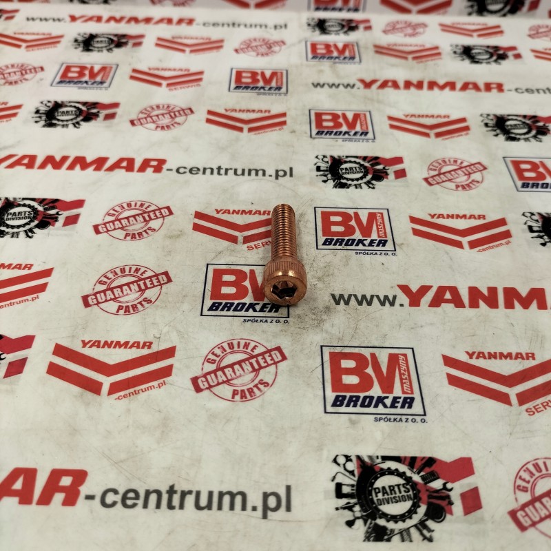 Hatz 1d80 1d81 1d90 muffler screw 50404000