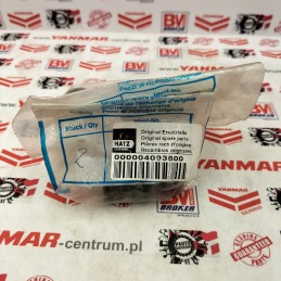 Hatz 1b20 valve spring 04093600