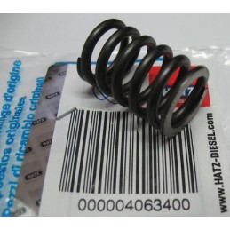 Hatz 1d41 1d50 1d81 regulator spring 04063400