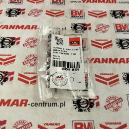 Hatz 1d81 injection gasket 04185200