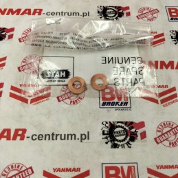 Hatz 1d81 injection gasket 04185200