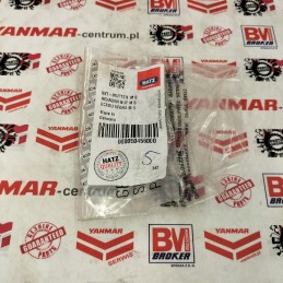 Hatz Ring M6 50456000