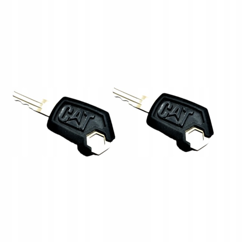 2x key, door ignition key, cat 5p8500