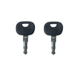 2x key, key for the ignition switch of the ignition door of the Atlas Takeuchi 201 machine