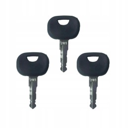 3x key, key for the ignition switch of the ignition door of the Atlas Takeuchi 201 machine
