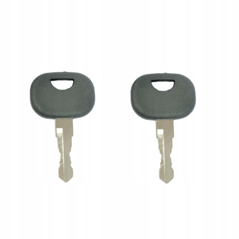 2x John Deere LW10288887 ignition key