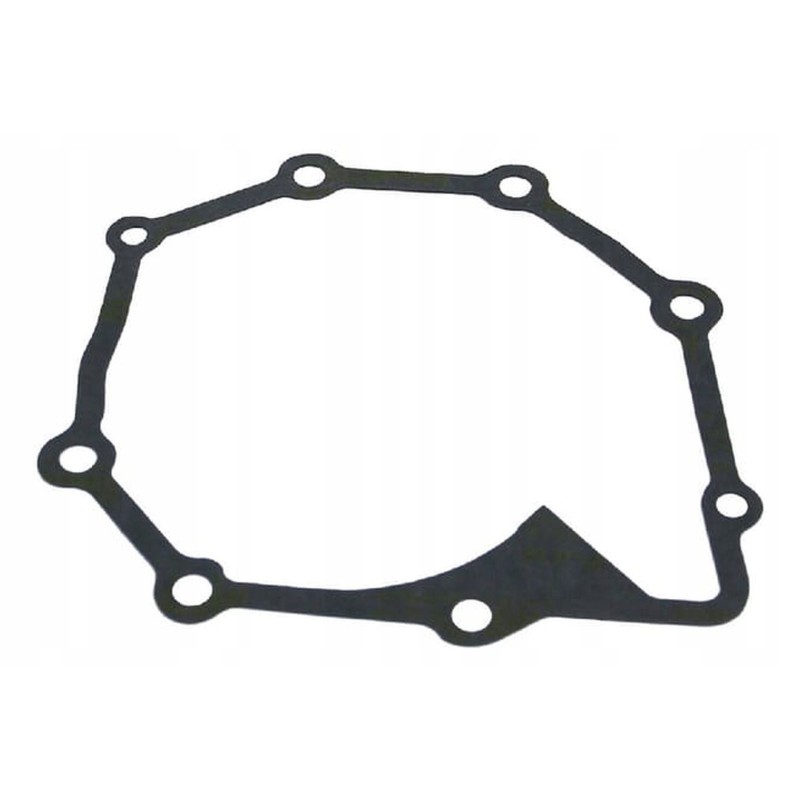 Vpe2619 water pump gasket