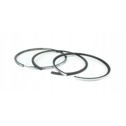 Rings 0 50 lombardini ldw1204