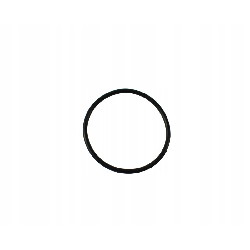 Water pump gasket JCB Kop Lada extinguishes 02 200082