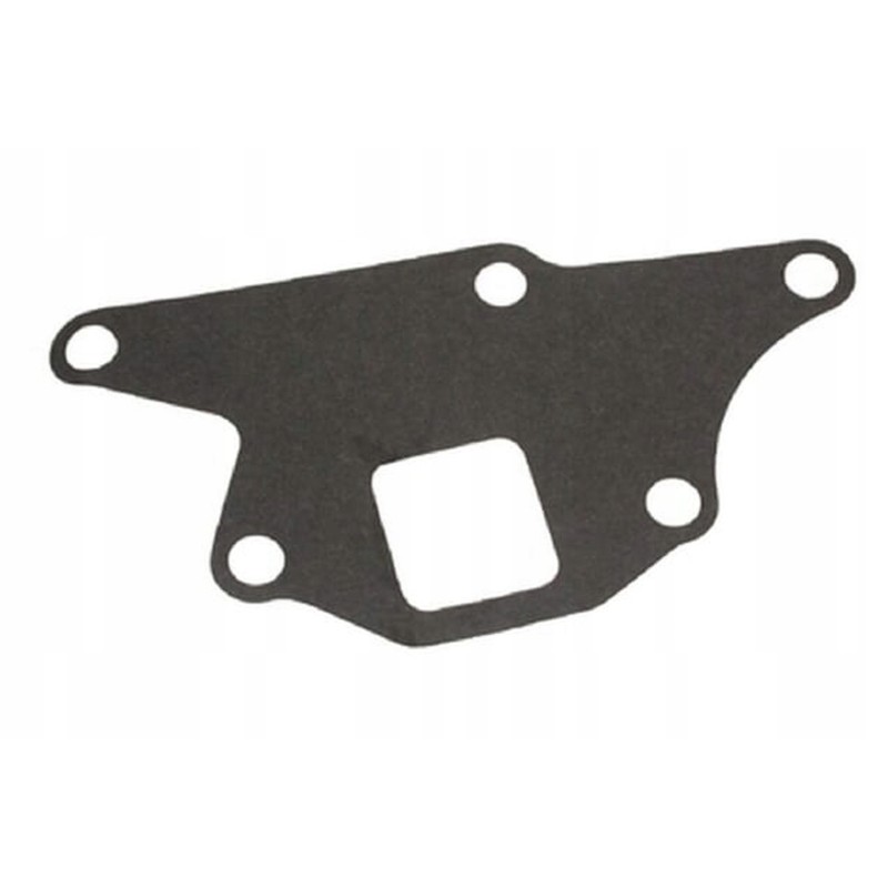 Vpe2614 water pump gasket