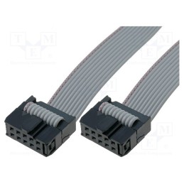 1 pcs x KAMAMI - CAB/IDC10FF-100 - Connection cable, Pitch: 2.54mm, L: 1000mm, wstążkowy