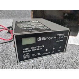 Etrogo battery charger 12v 24v