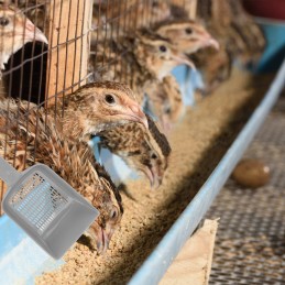 2pcs reptile sand shovels reptile sand scoop