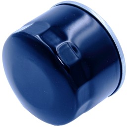 Briggs BS oil and air mower filters