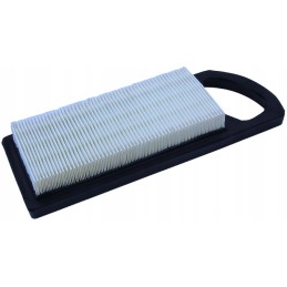 Briggs BS oil and air mower filters