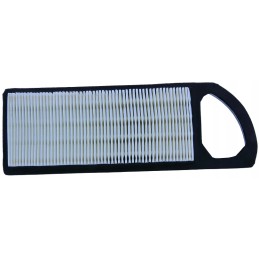 Briggs BS oil and air mower filters