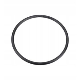 Manitou 564333 thermostat housing o-ring