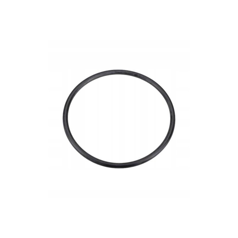 Manitou 564333 thermostat housing o-ring