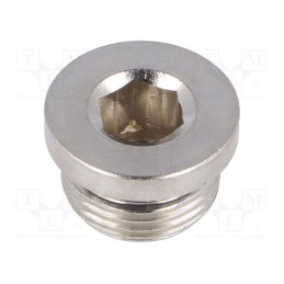 2 pcs x PNEUMAT-407313 - Protection cap, max.75bar, nickel plated brass, Thread: G 3/8'