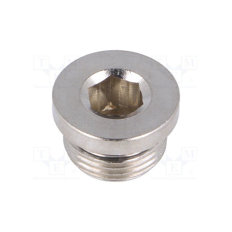 2 pcs x PNEUMAT-407313 - Protection cap, max.75bar, nickel plated brass, Thread: G 3/8'