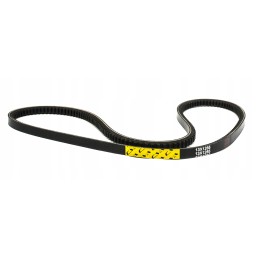 Multi V-belt cva excavator cat