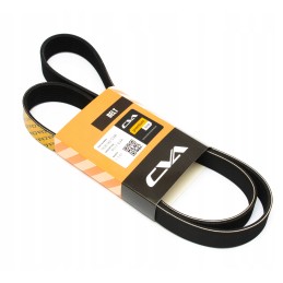 Multi V-ribbed belt cva loader cat