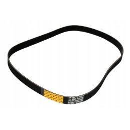 Multi V-ribbed belt cva loader cat