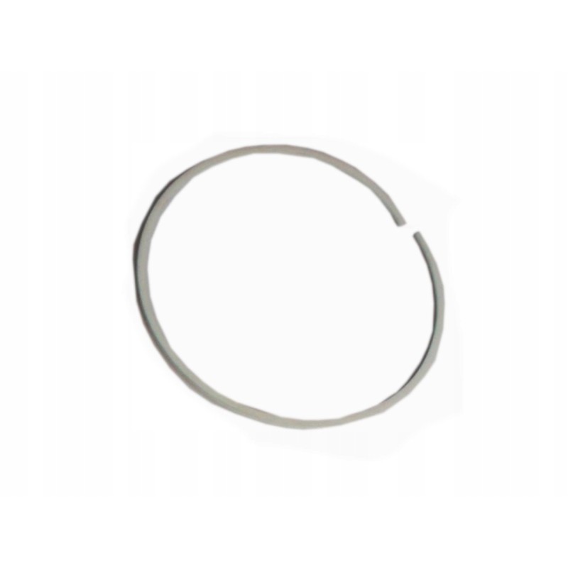 Seal ring gl mtz 2401003081