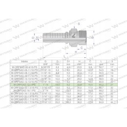 Hydraulic fitting orfsad dn13 1 14 premium