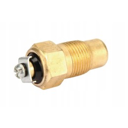 Tm100wn temperature sensor fits Belarus