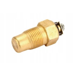 Tm100wn temperature sensor fits Belarus