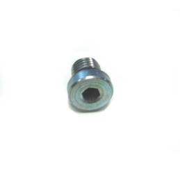 Hydraulic plug with motogeneric seal