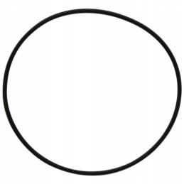 Fendt O-ring seal x548964700000