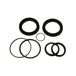 Cyclops turntable actuator seal set