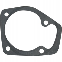 Water pump gasket 80017012